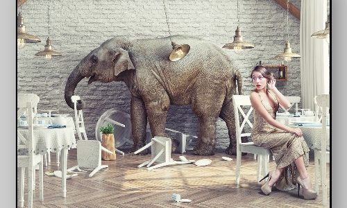 Comme un éléphant dans un magasin de porcelaine