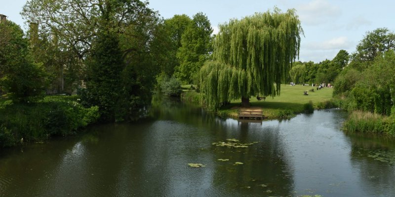Stamford Water Meadows